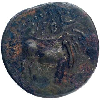 Satavahana Coin